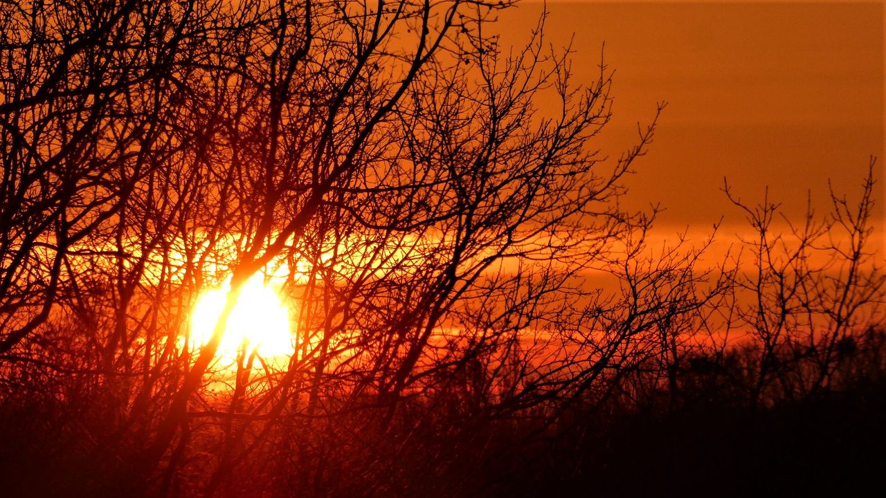 Een mooie zonsopkomst in Waalwijk. Foto: Martha Kivits.