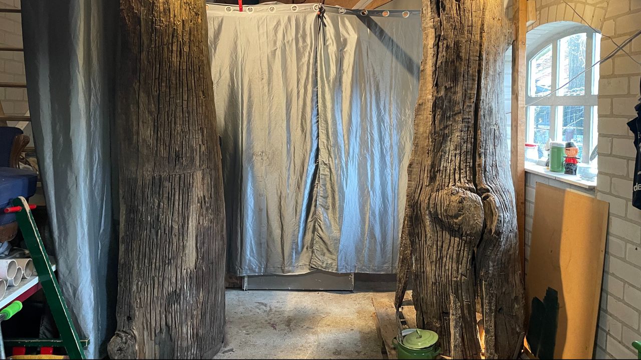 De in twee stukken gezaagde boomstam.