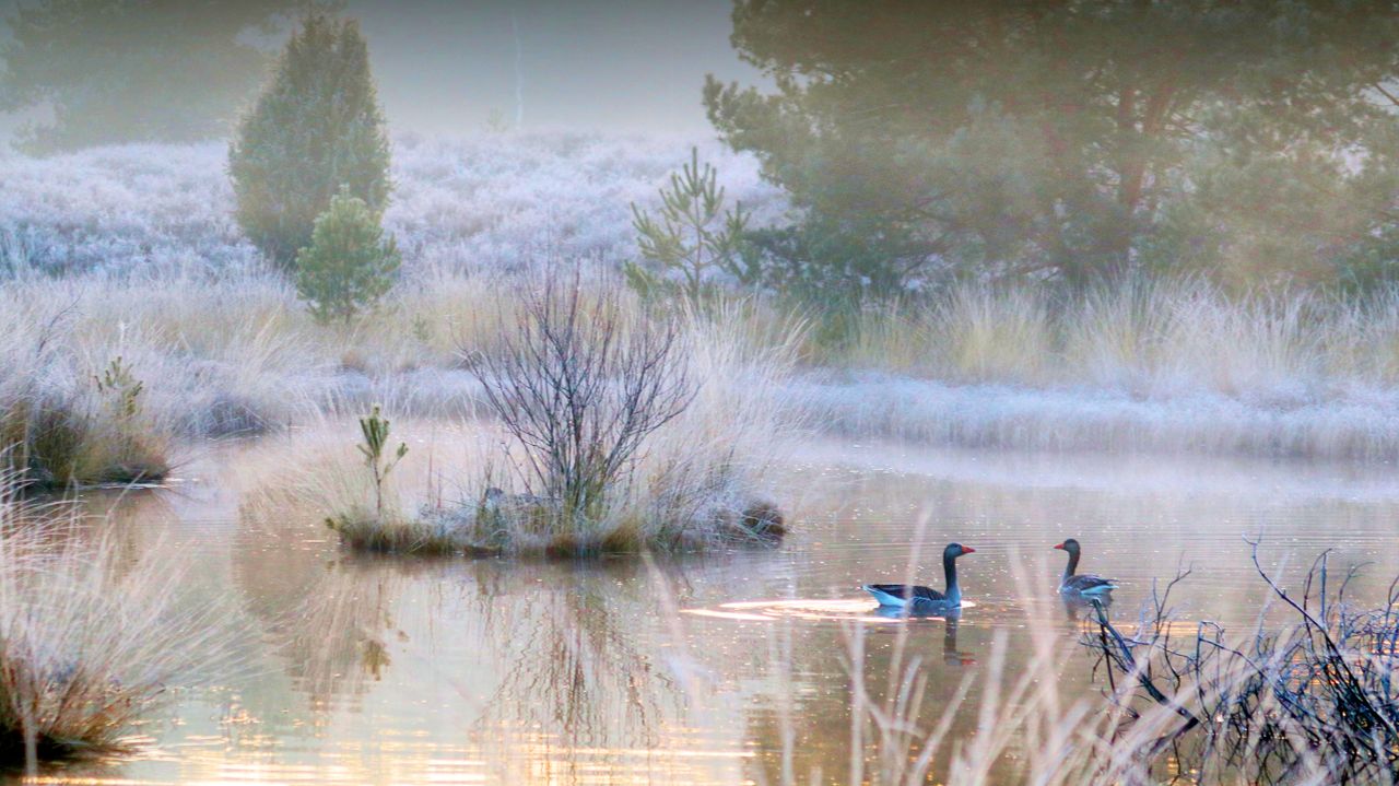 Foto: Erik van Asten