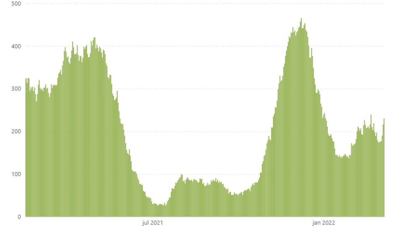 Bedbezetting door coronapatiënten in de Brabantse ziekenhuizen (bron: ROAZ).
