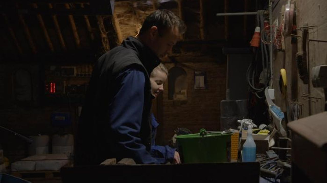 Jouke en Karlijn in de stal, sloeg hier de vonk over?