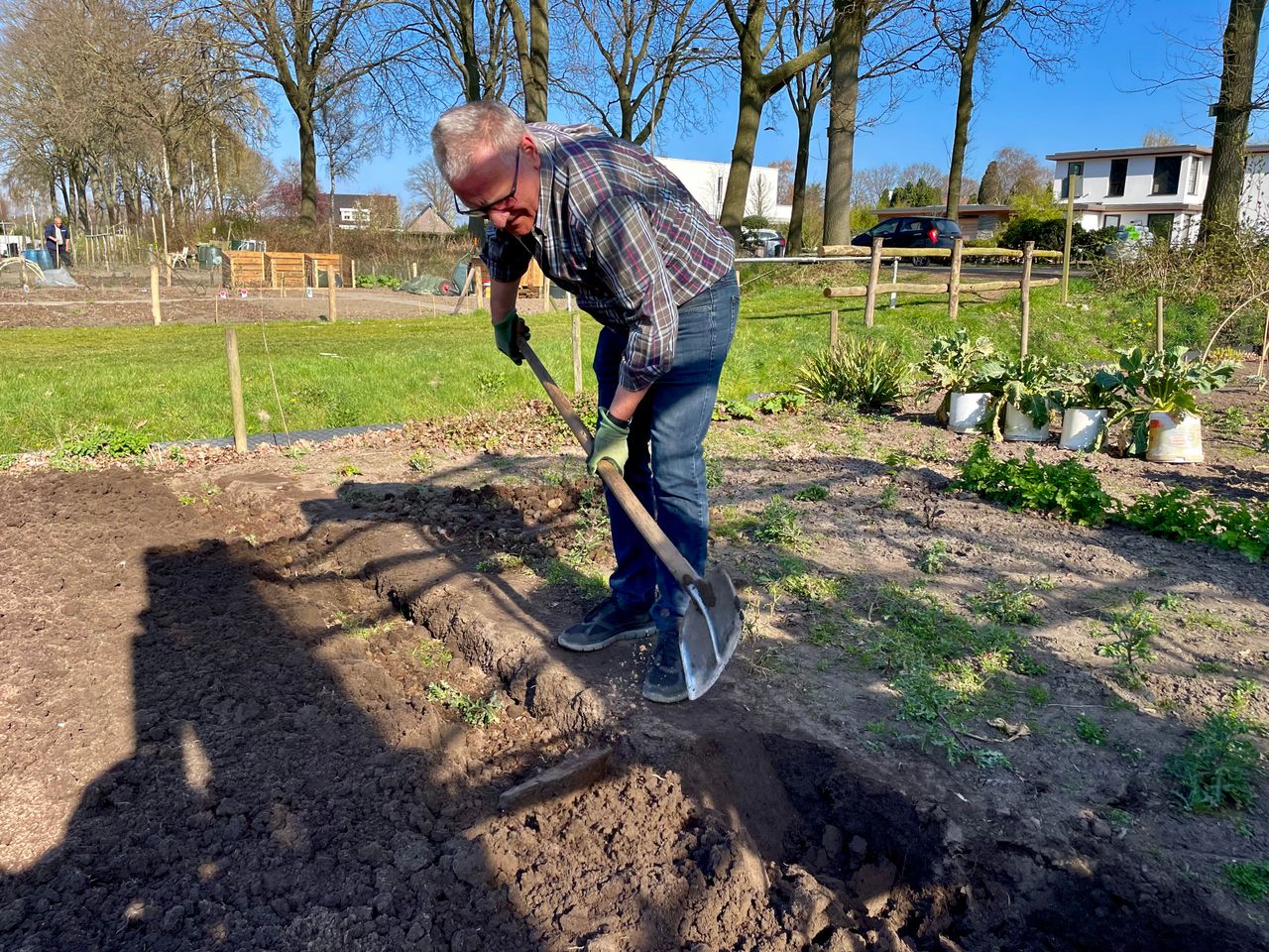 Voorzitter Hans ziet steeds meer jonge mensen die een volkstuintje willen (foto: Tonnie Vossen).