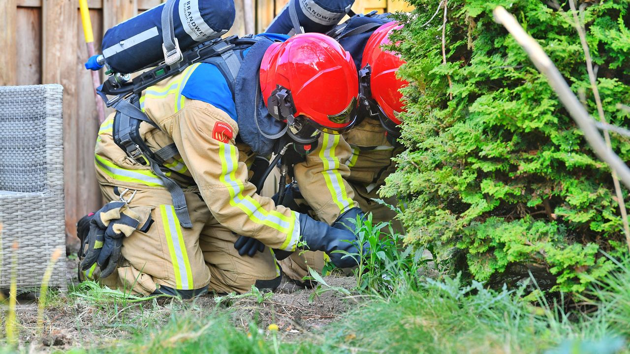 Foto: Rico Vogels/SQ Vision