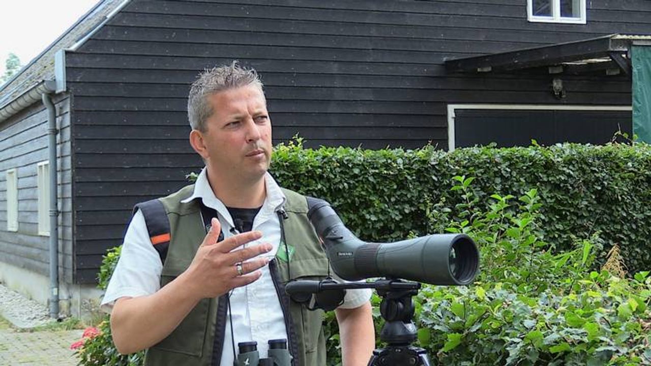 Harm Blom: "Alle drie de eieren van de visarenden zijn uitgekomen."