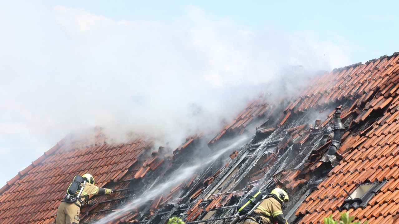 Foto: Bart Meesters - SQ Vision