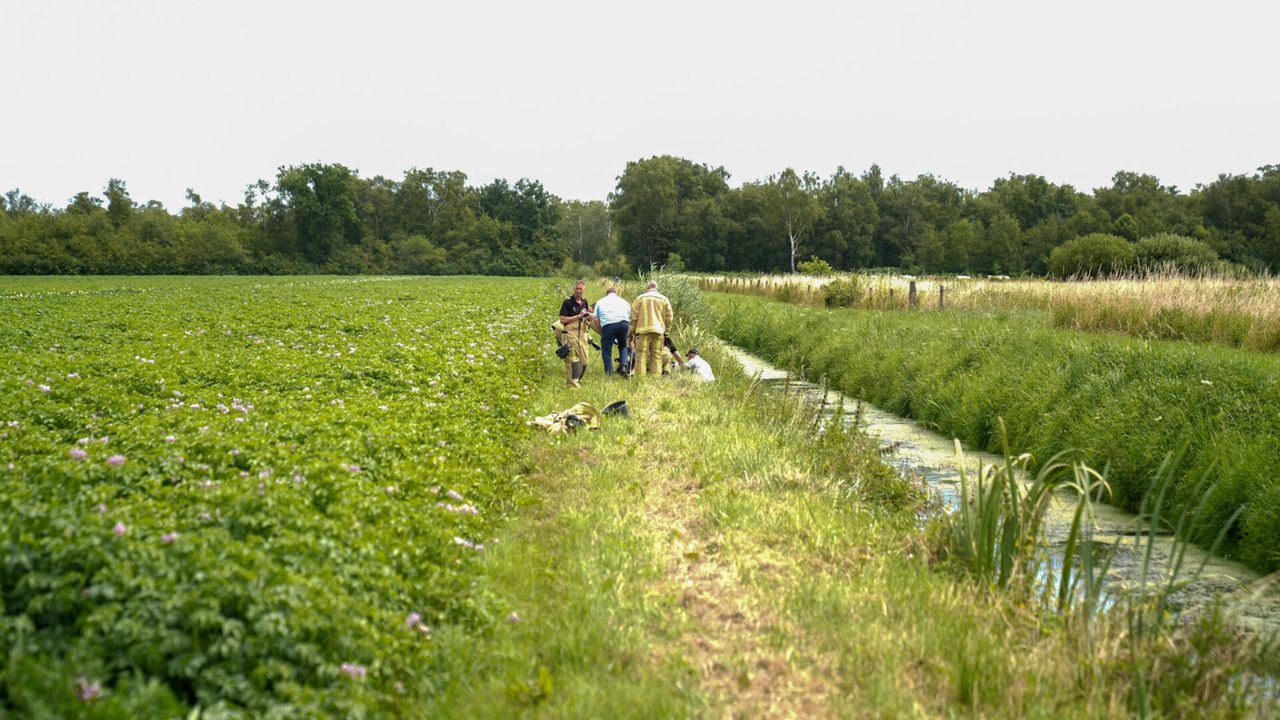Foto: Harrie Grijseels/SQ Vision