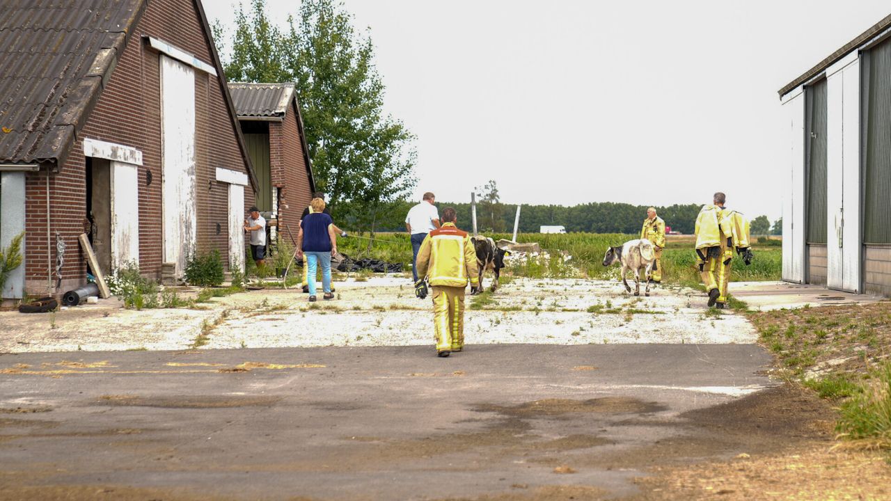 Foto: Harrie Grijseels/SQ Vision