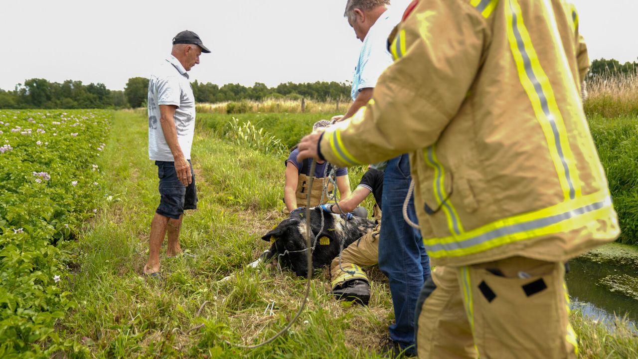 Foto: Harrie Grijseels/SQ Vision