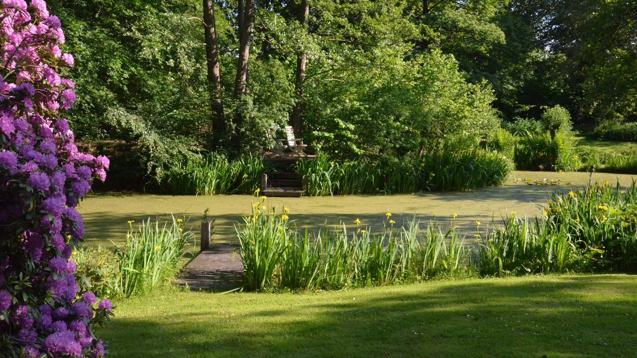 Zo is er een vijver is de tuin (foto: Thuiz Makelaardij).