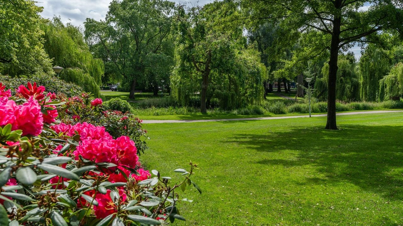 De hond kan mee uit in het nabijgelegen park (foto: CATO Makelaars).