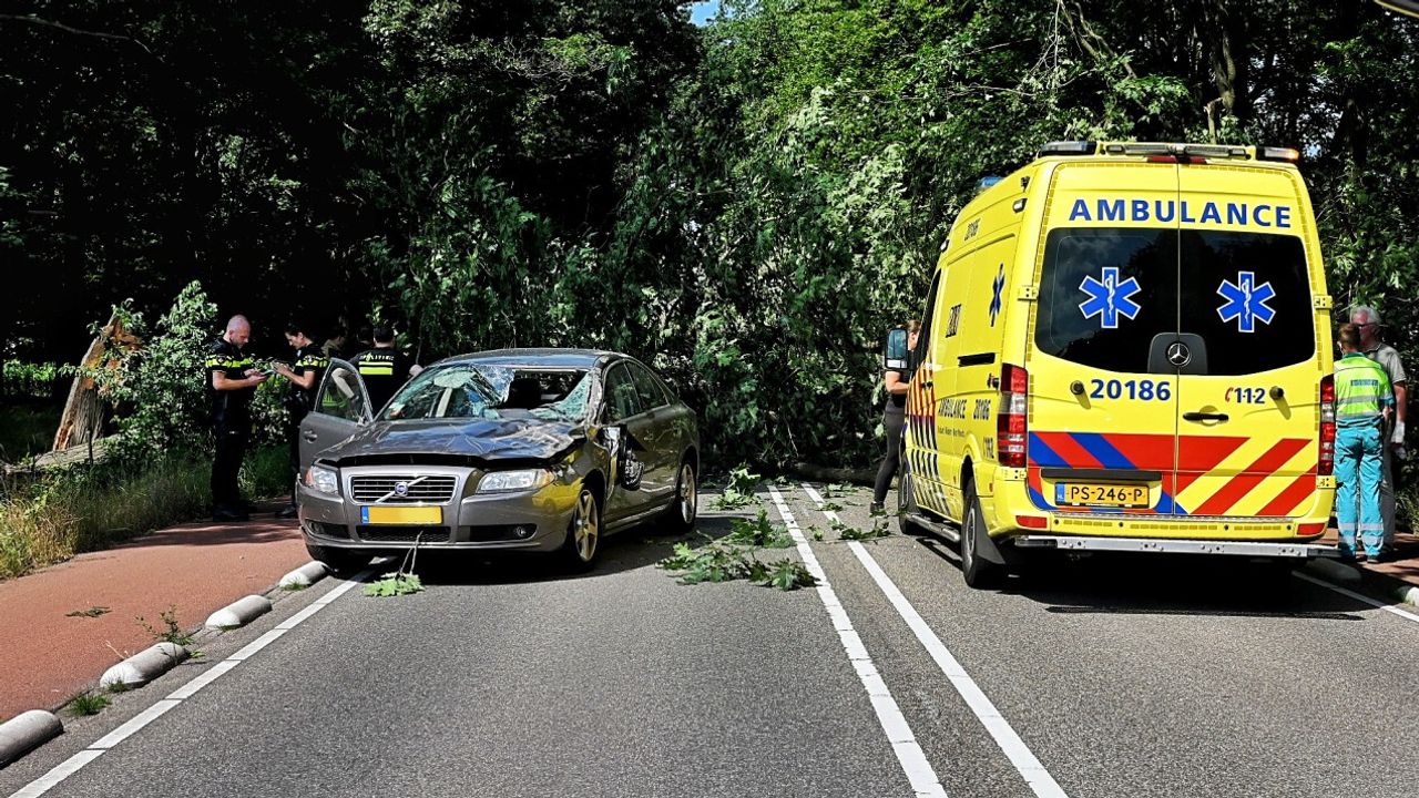 Foto: Toby de Kort/SQ Vision.