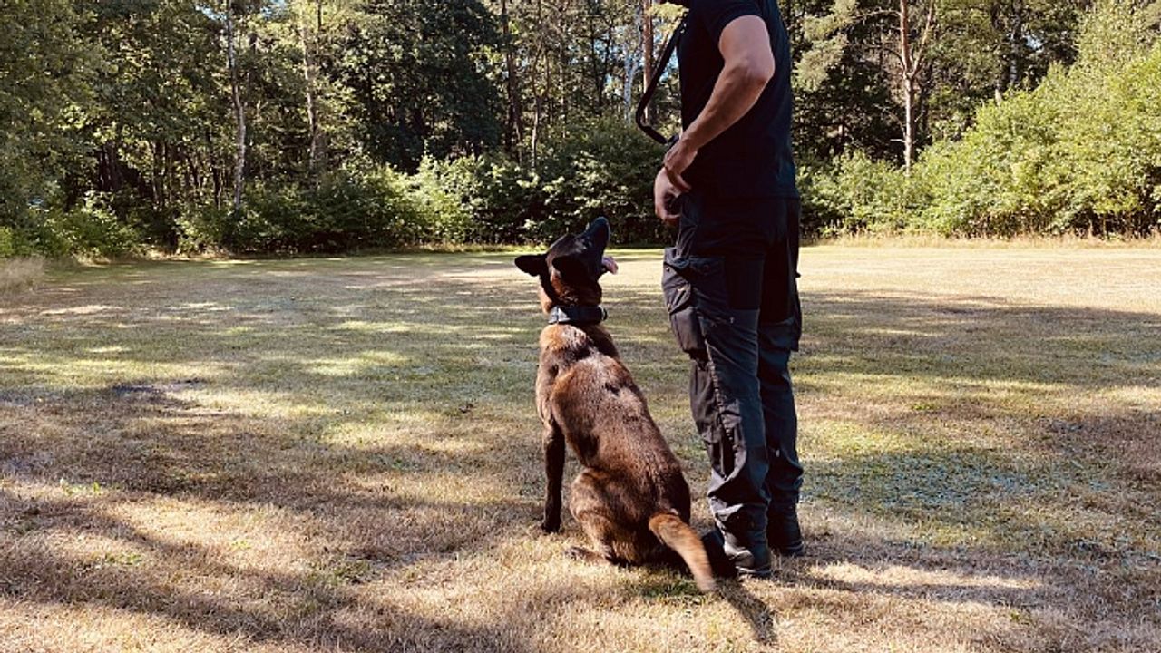 Een steeds terugkerend beeld. De geleider en zijn schaduw, pal naast elkaar.