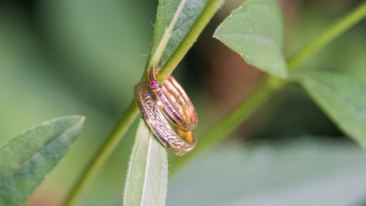 De trouwringen van het echtpaar (foto: M van de Looij Foto& Design).