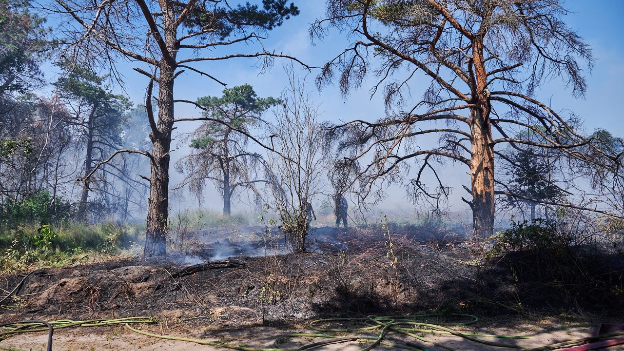 Foto: Tom van der Put - SQ Vision