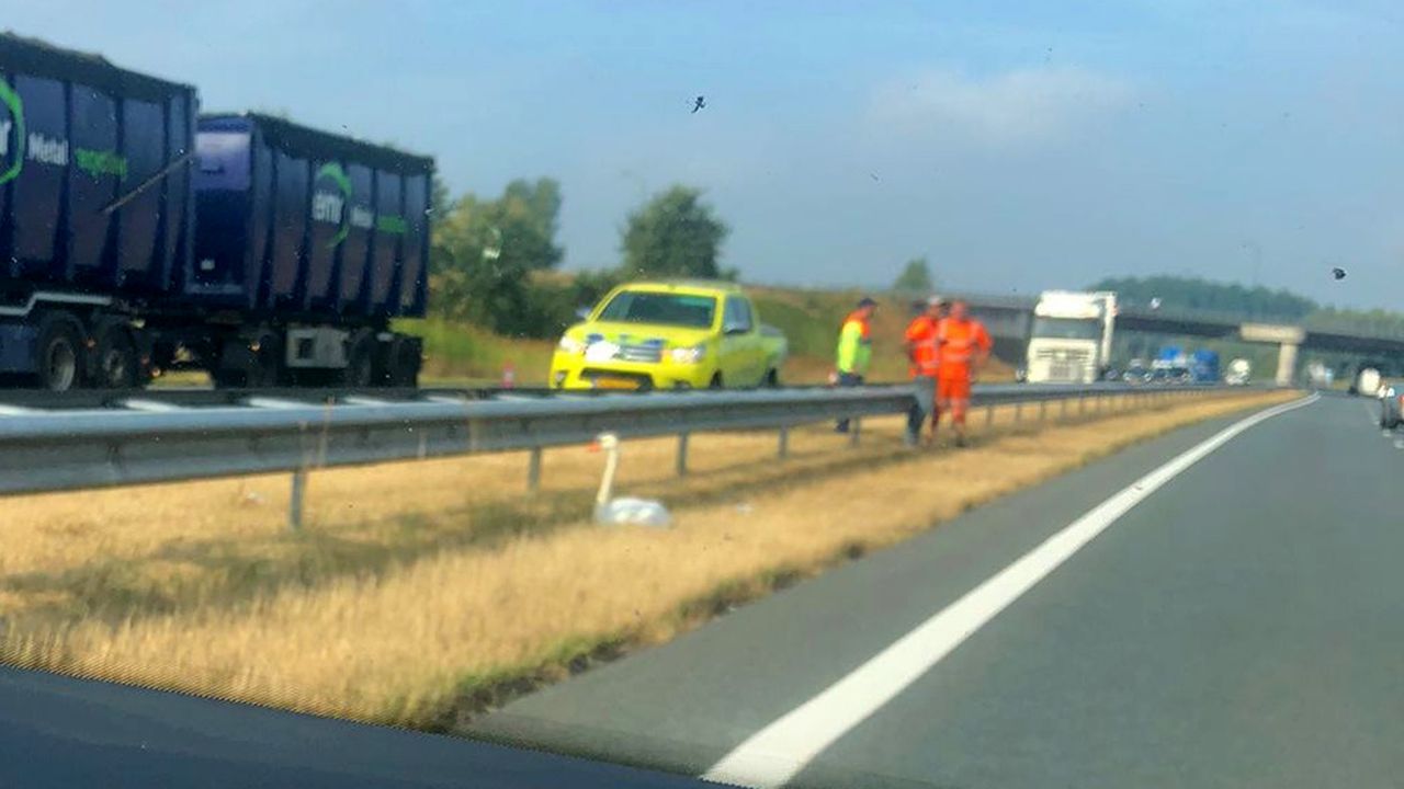 Foto: Dierenambulance Brabant Noord-Oost/Facebook