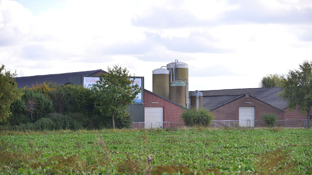 Foto: Johan Bloemers / SQ Vision