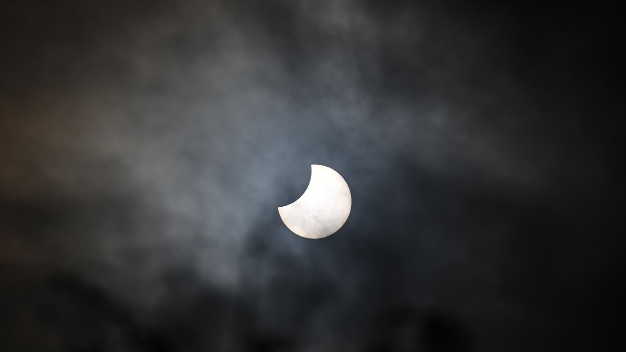 Francy Steenveld vereeuwigde het hapje uit de zon. 