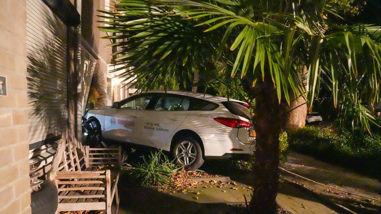 Foto: Harry Grijseels/SQ Vision