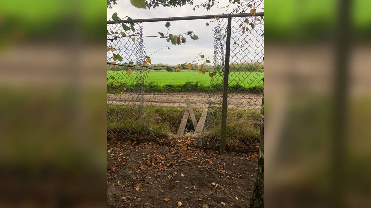 De dieven knipten ook een hek open.