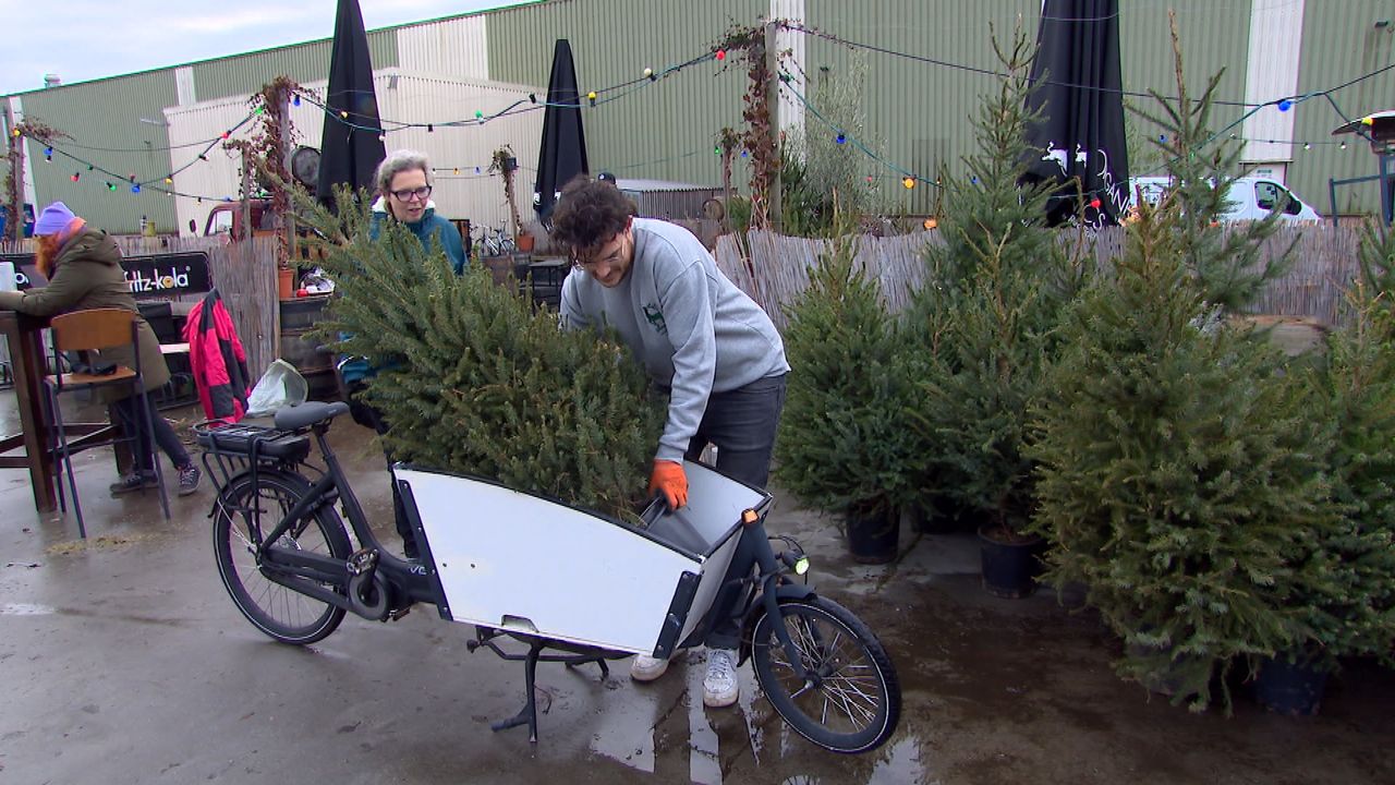 Margriet Wolters brengt haar boom terug in een bakfiets (foto: Raymond Merkx).