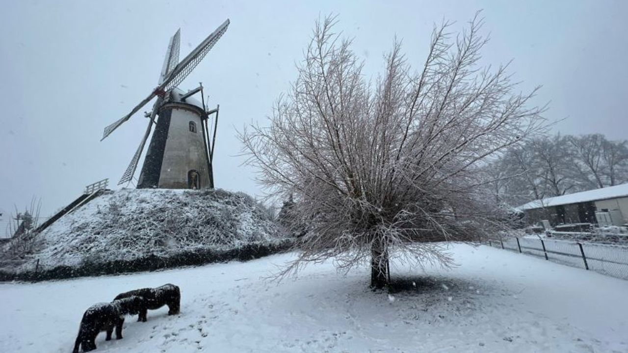 Foto: Heeze-Leende24