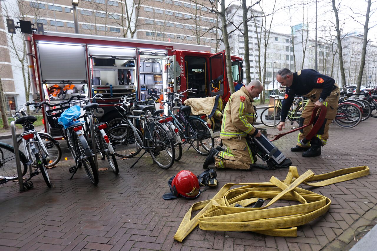 Foto: Arno van der Linden/SQ Vision