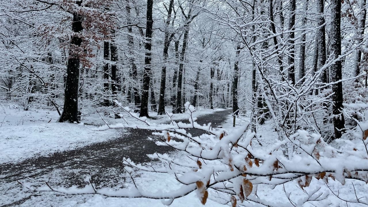 In Roosendaal ligt een aardig pak sneeuw. 