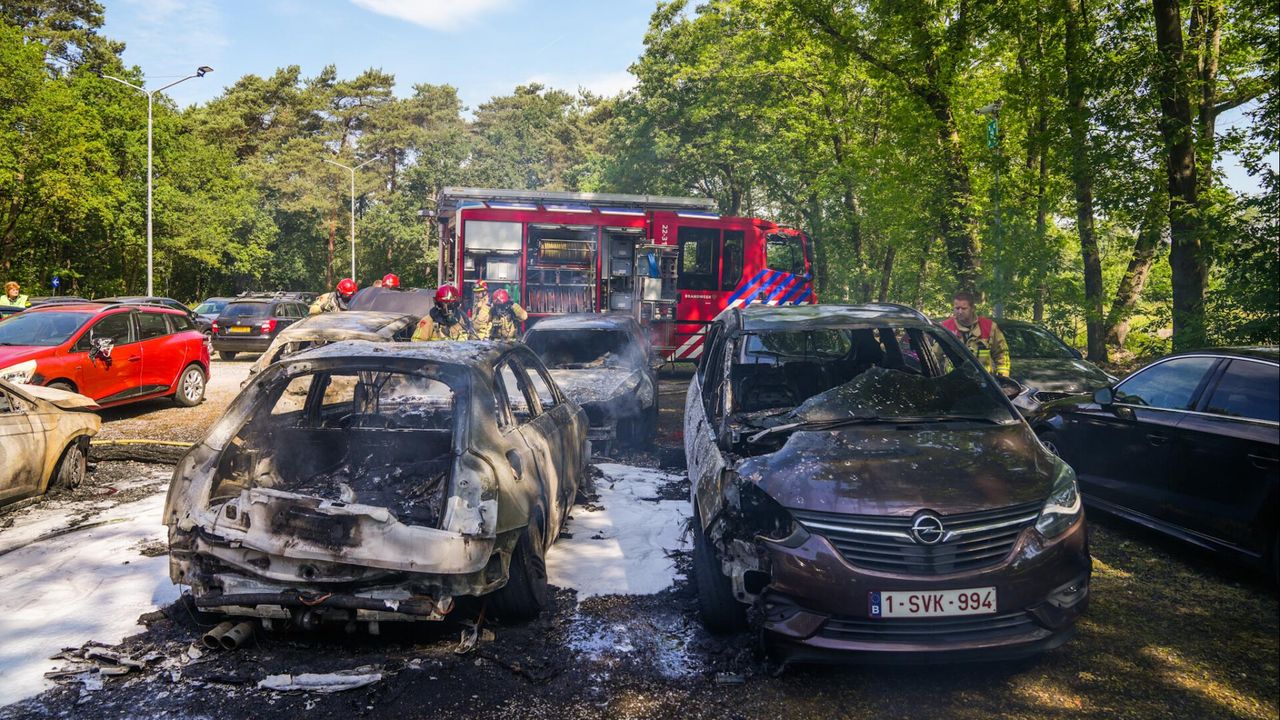 Foto: Dave Hendriks/SQ Vision.