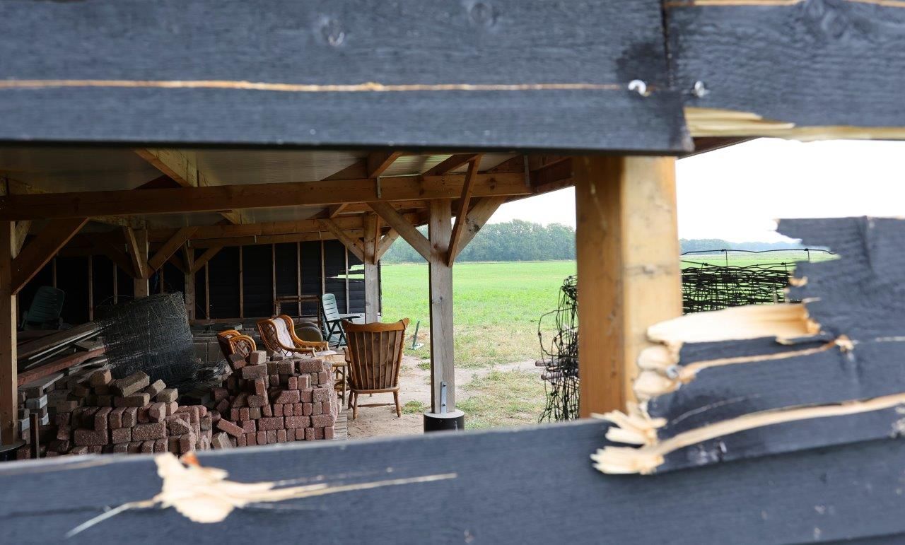 Gaten in de zijkant van de veldschuur (Foto: Bart Meesters)