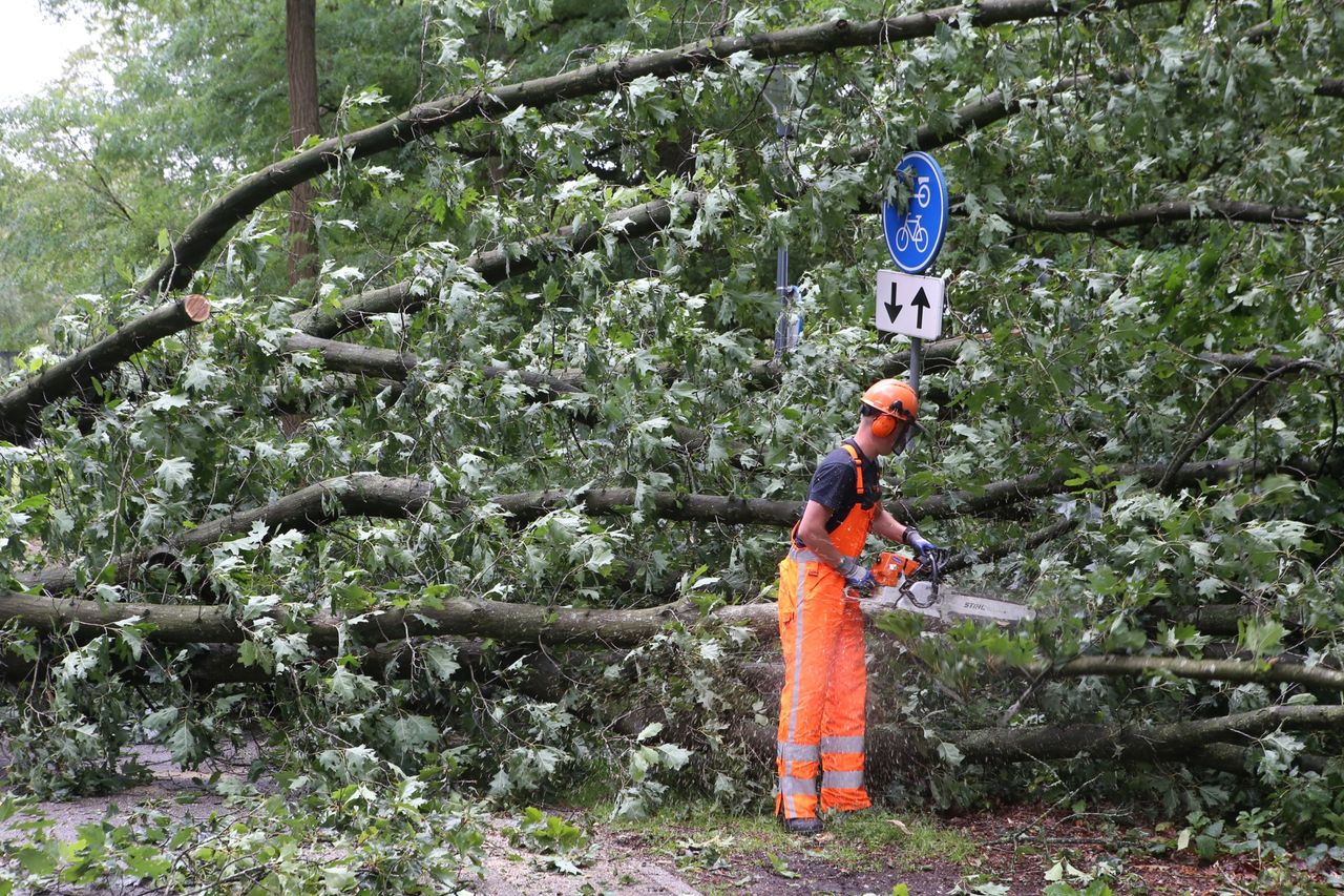 Foto: Sander van Gils/SQ Vision