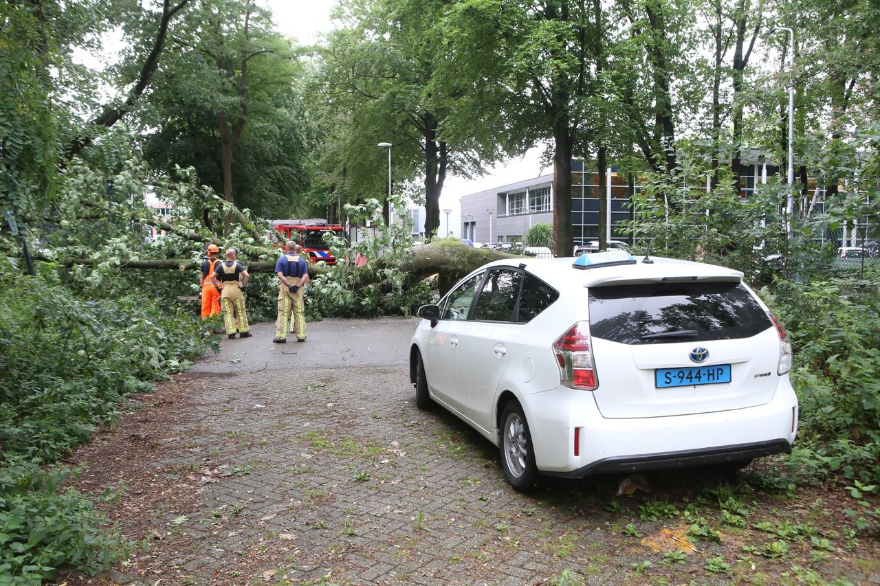 Foto: Sander van Gils/SQ Vision