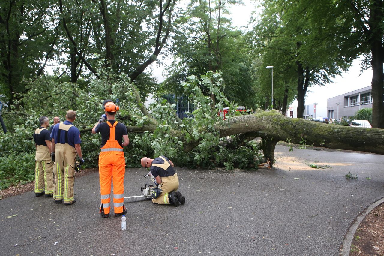 Foto: Sander van Gils/SQ Vision