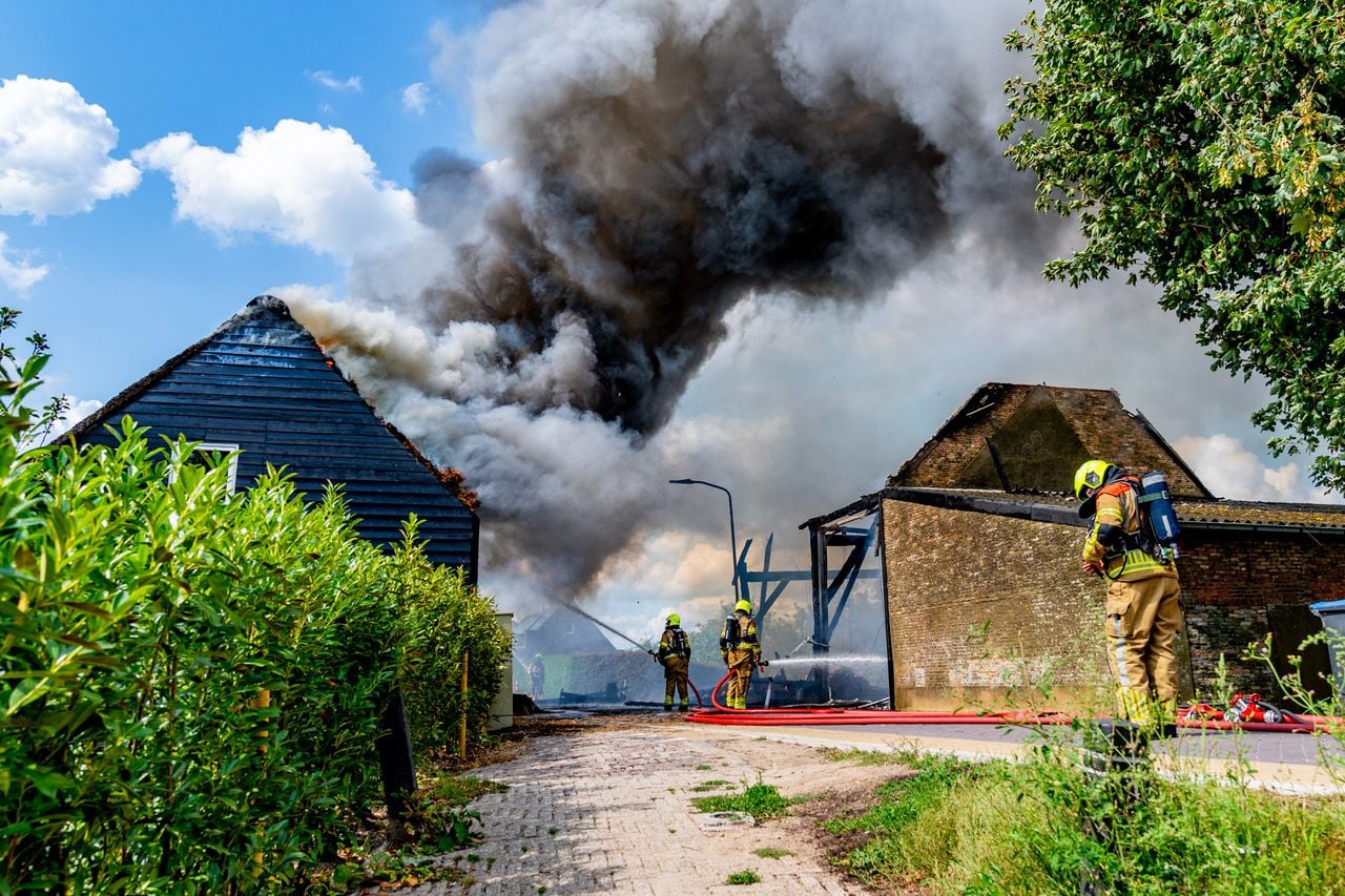 Foto: Jurgen Versteeg/SQ Vision