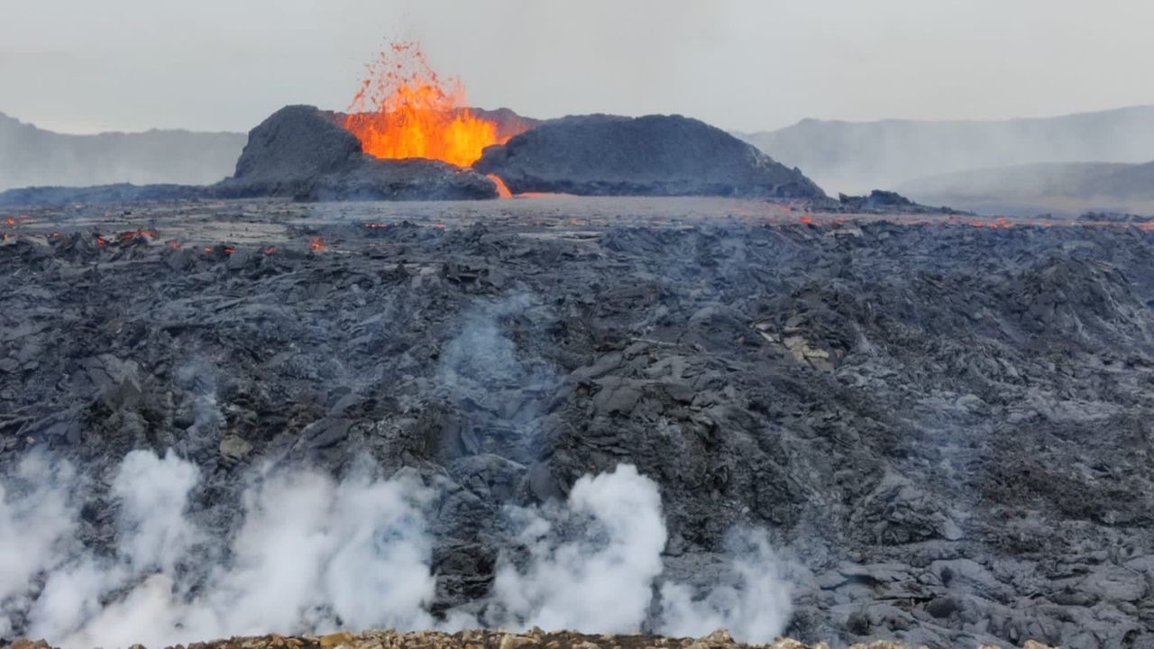 (foto: Bart Rijvers)