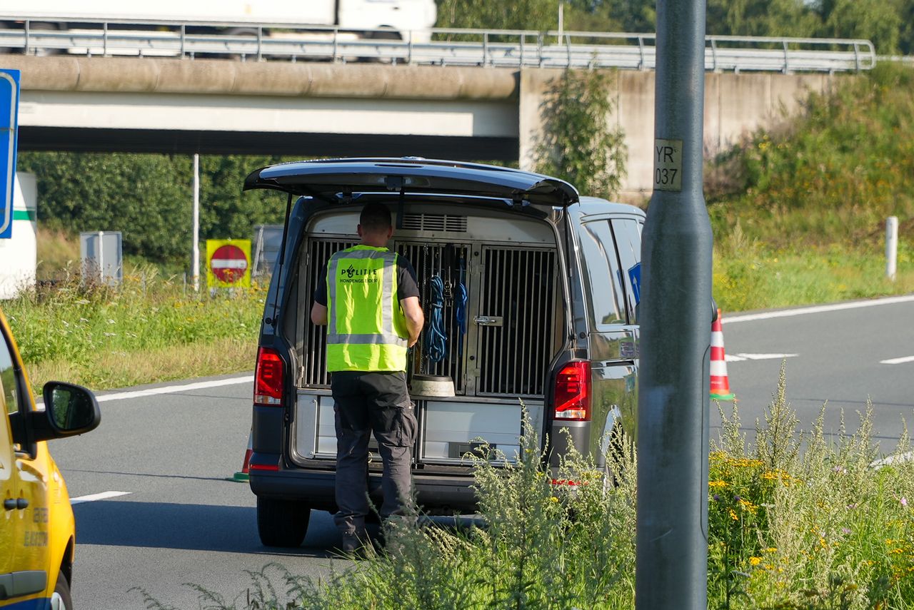 Foto: Gabor Heeres/SQ Vision.