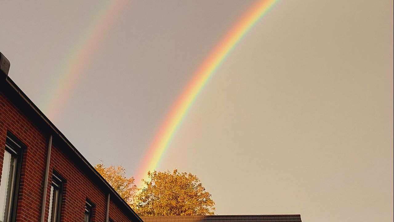 In Westerhoven (foto: Inge Lievens).