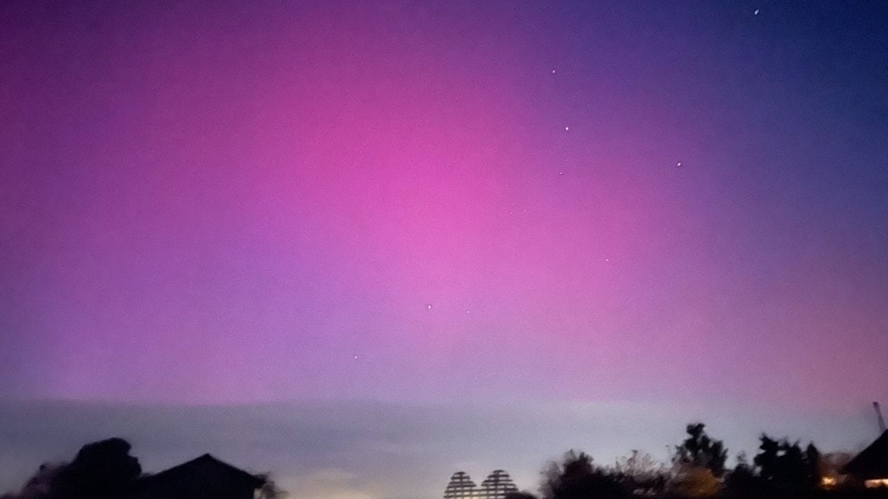 Foto: Niels Sommers.