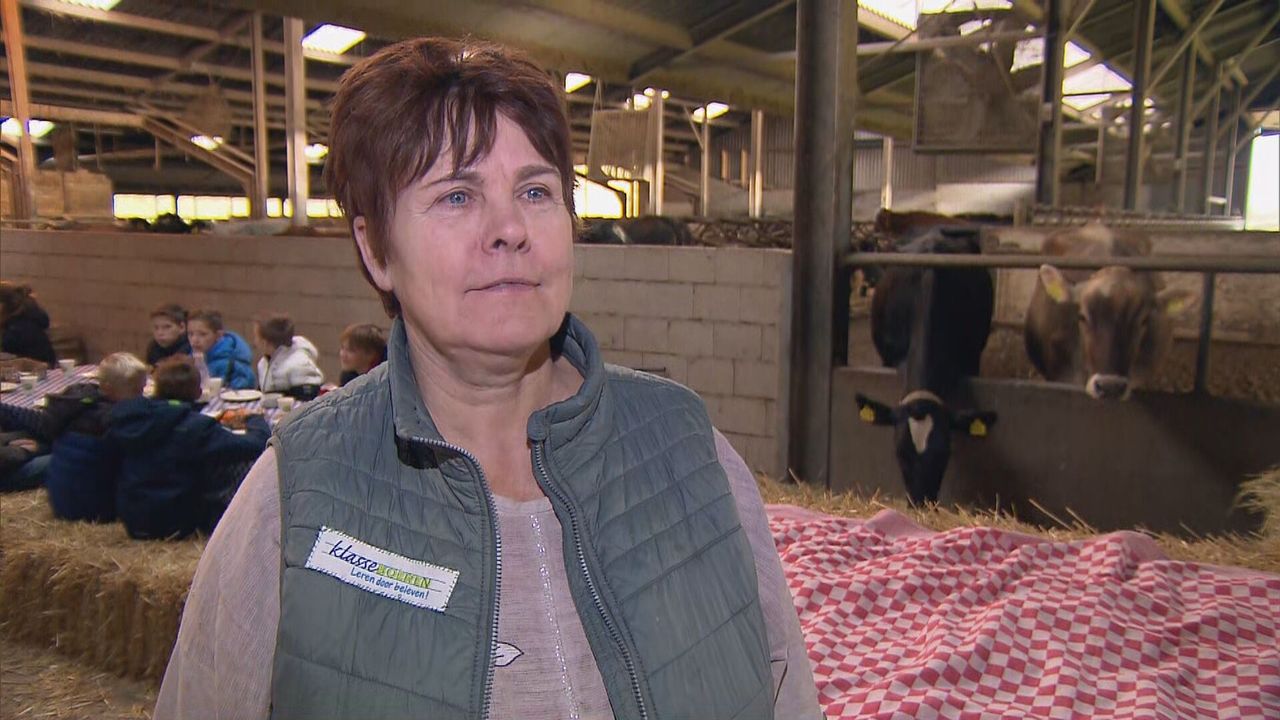 Boerin Hanneke Verberne (foto: Omroep Brabant). 