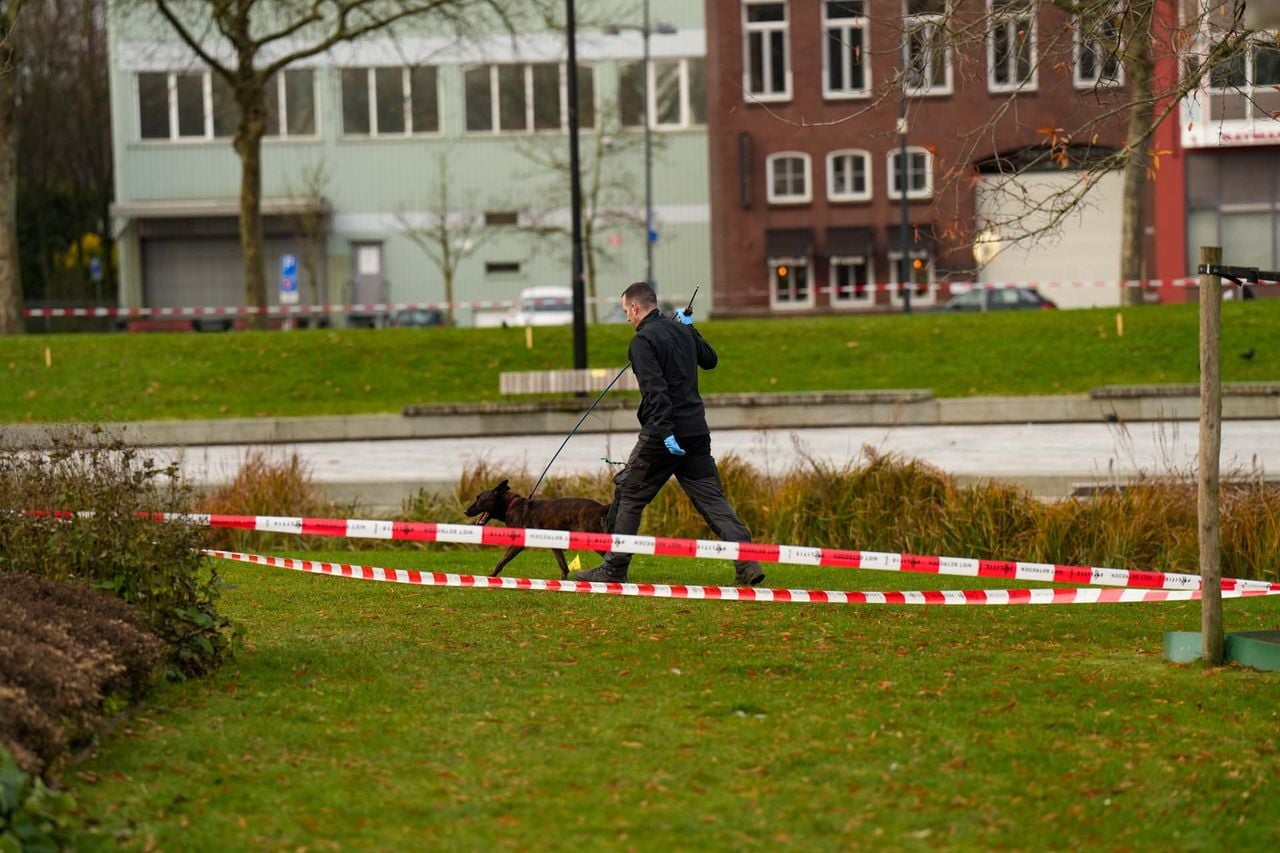 Foto: Harrie Grijseels/SQ Vision.