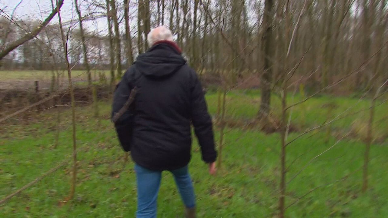 Joost loopt door het familiebos (Omroep Brabant)