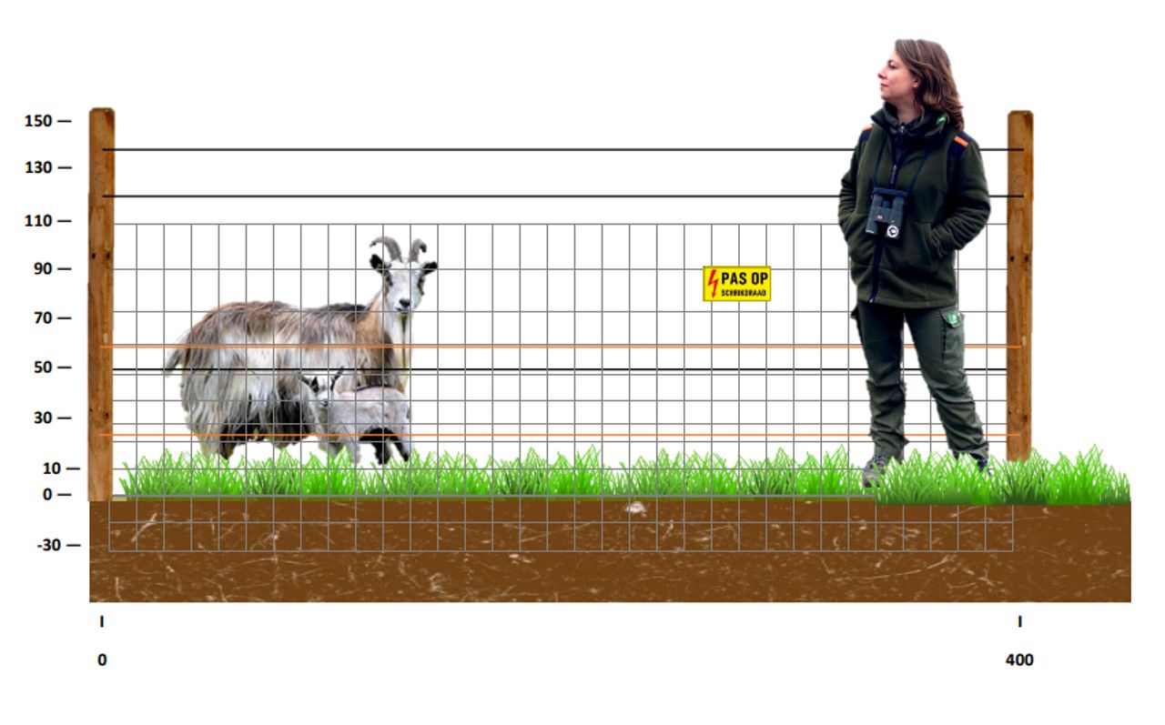 Een ontwerp van het wolfwerend raster (Staatsbosbeheer).