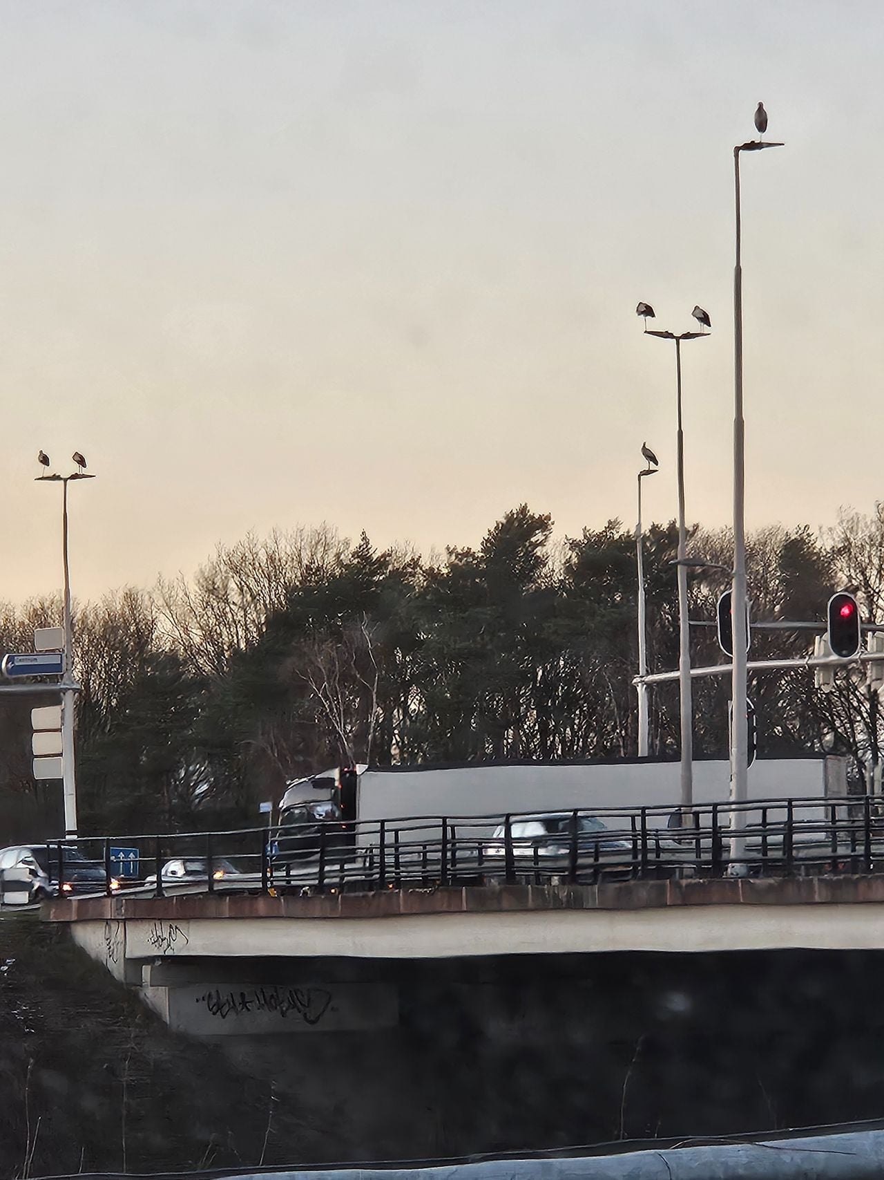 Foto: Annelies van Straaten.