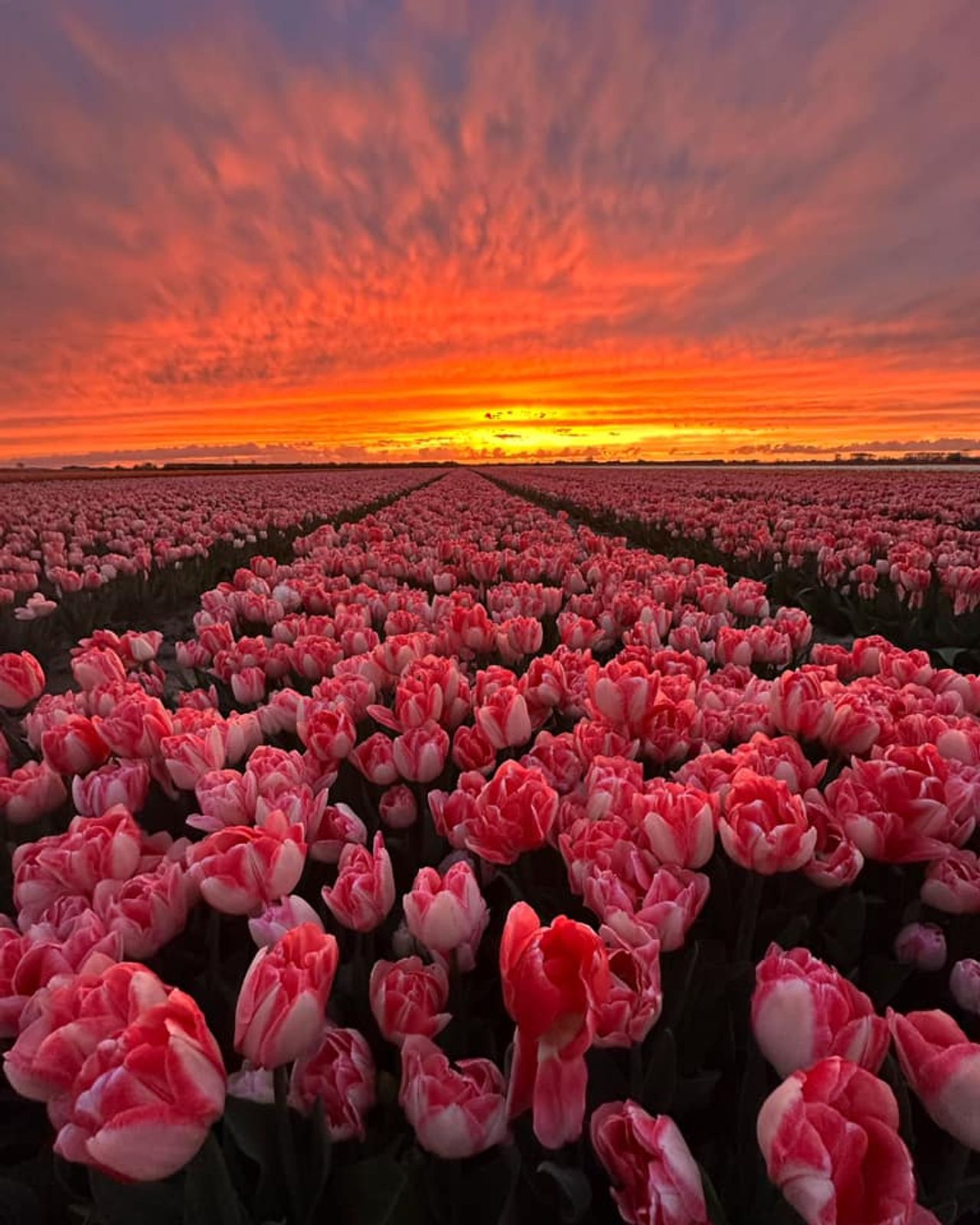 We sloten het weekend af met deze mooie zonsondergang (foto: Caroline Daansen).
