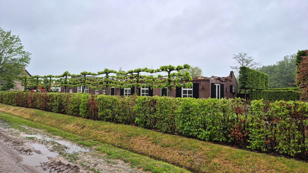 (foto: Collin Beijk)