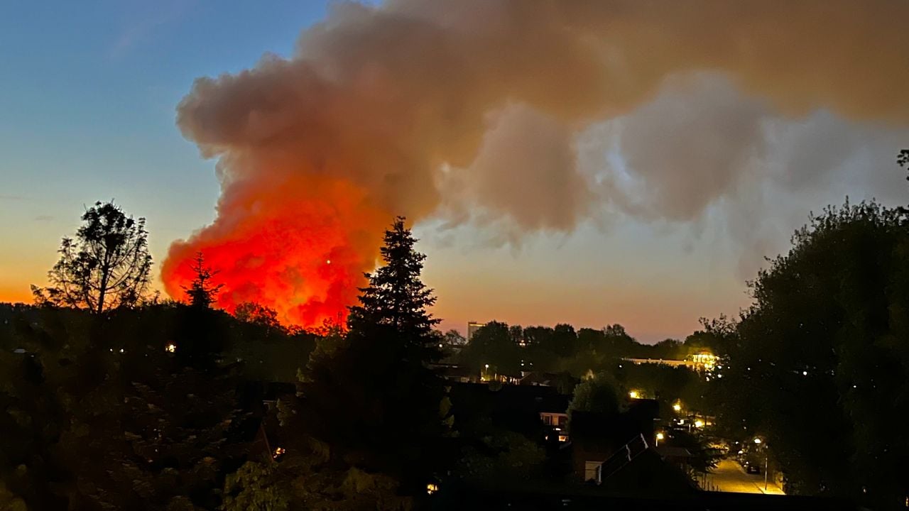 Oss (foto: Jan Suijs).