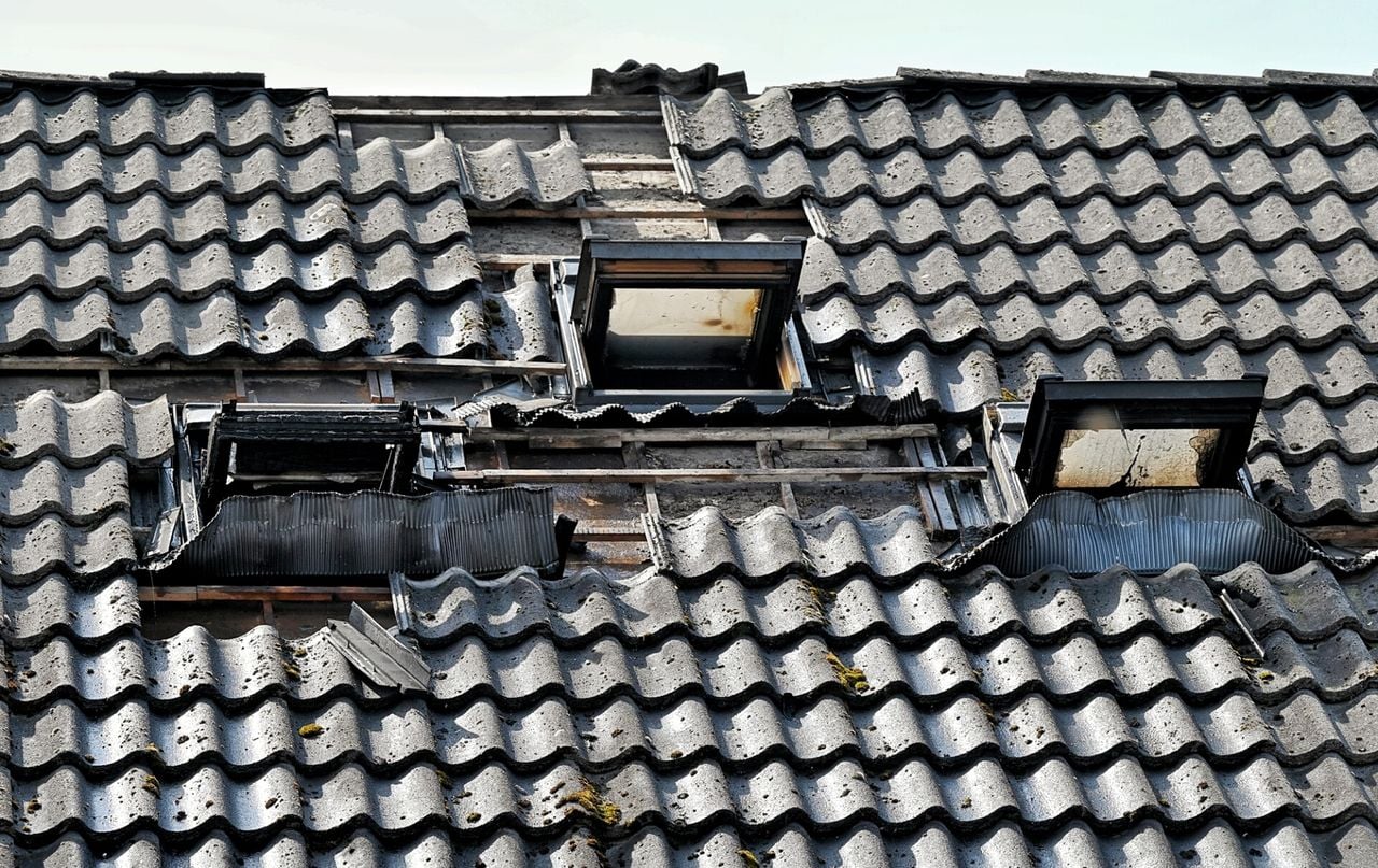 Foto: Toby de Kort/SQ Vision.