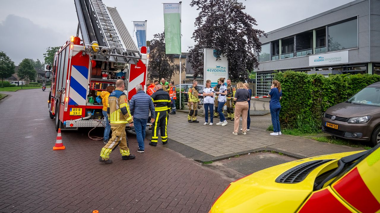 Foto: Iwan van Dun/SQ Vision.