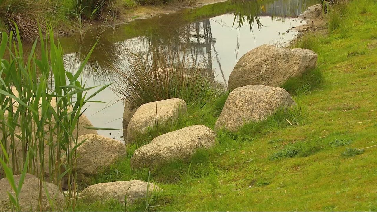 Er moet op veel meer plekken water in de stad komen, zoals hier in Tilburg (beeld: omroep Brabant).