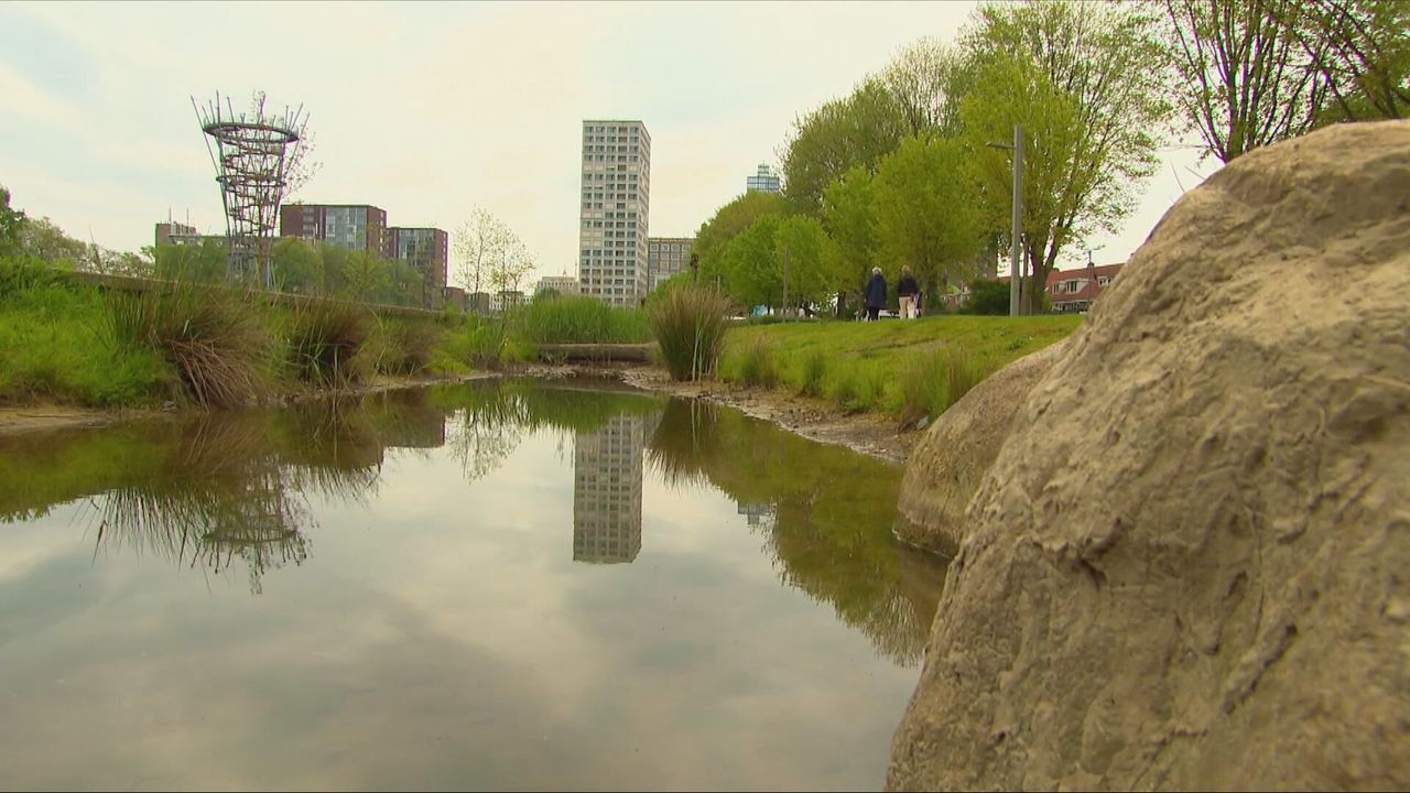 Water in het Spoorpark in Tilburg (beeld: Omroep Brabant).