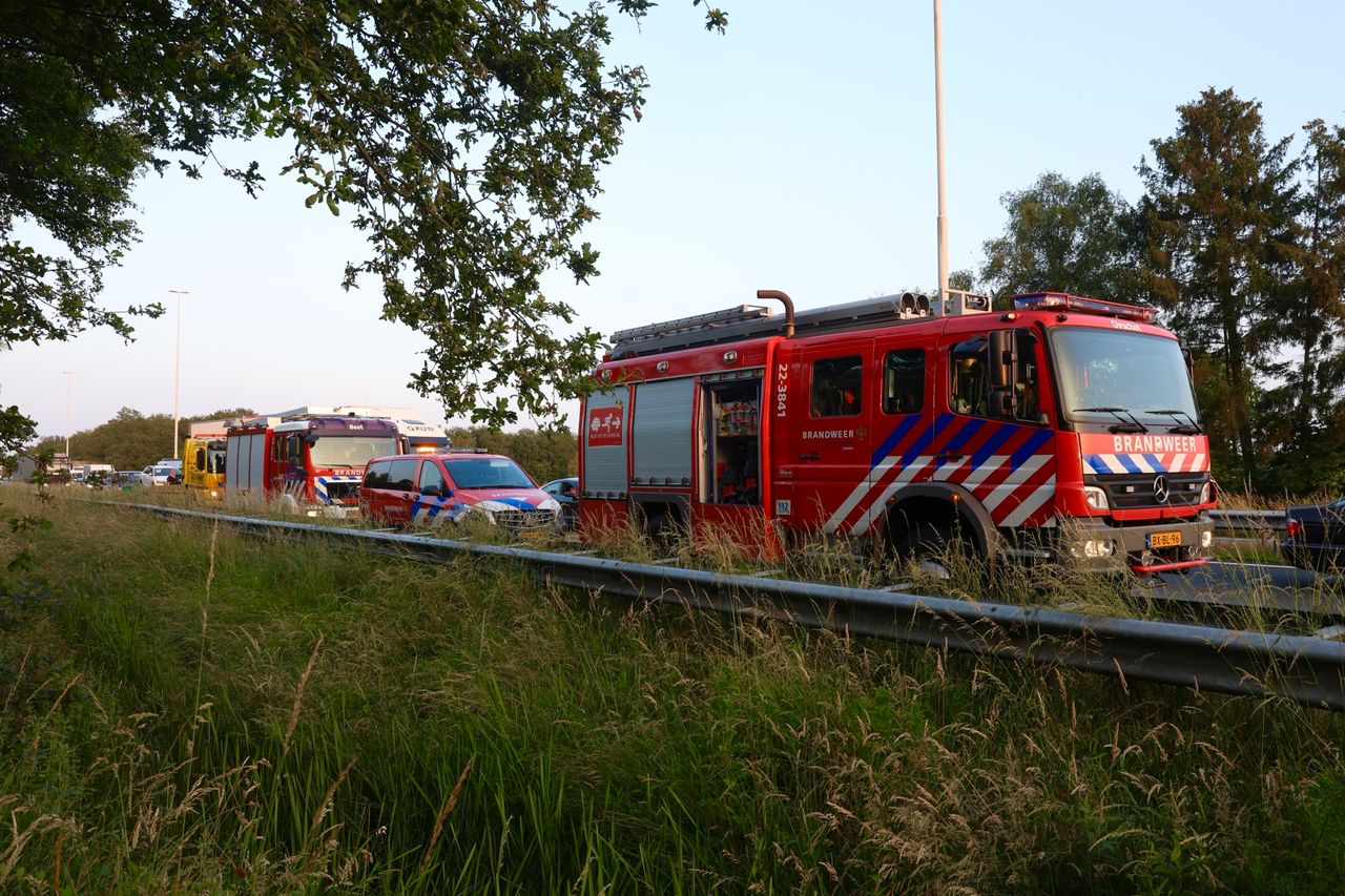 Foto: Sander van Gils/SQ Vision Mediaprodukties.